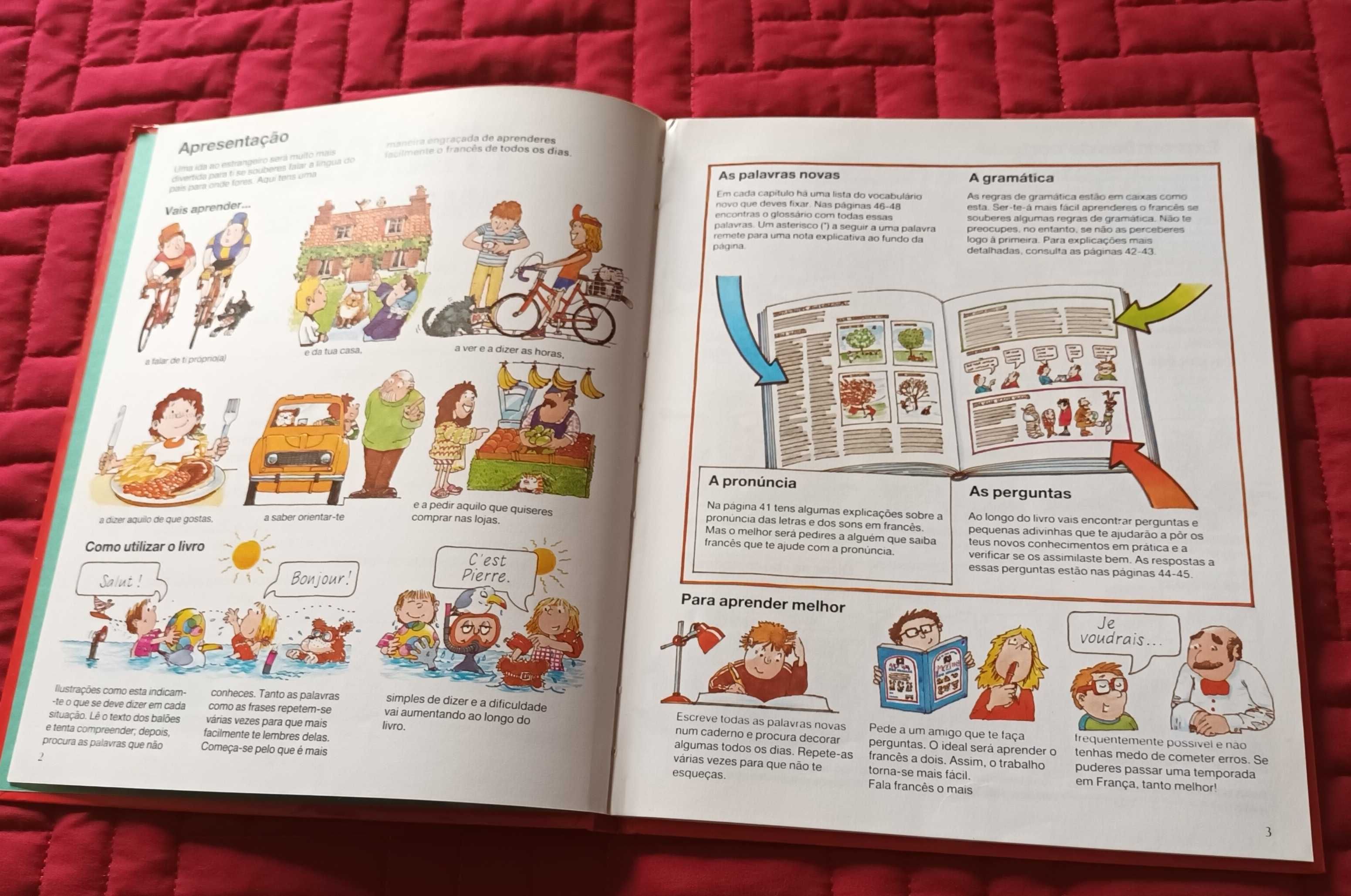 Livro - Francês para principiantes