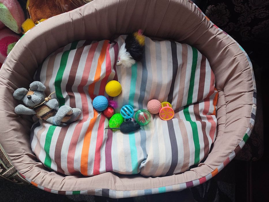 Ліжечко для кота