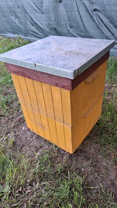 Ul wielkopolski kompletny