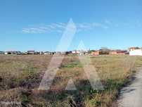 Terreno em Calvão - Vagos