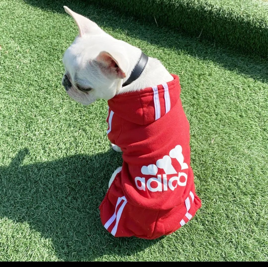 Спортивний костюм для собак