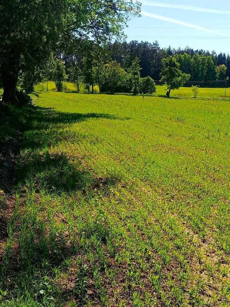 Sprzedam działki budowlane na Mazurach