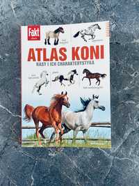 Atlas koni rasy i ich charakterystyka