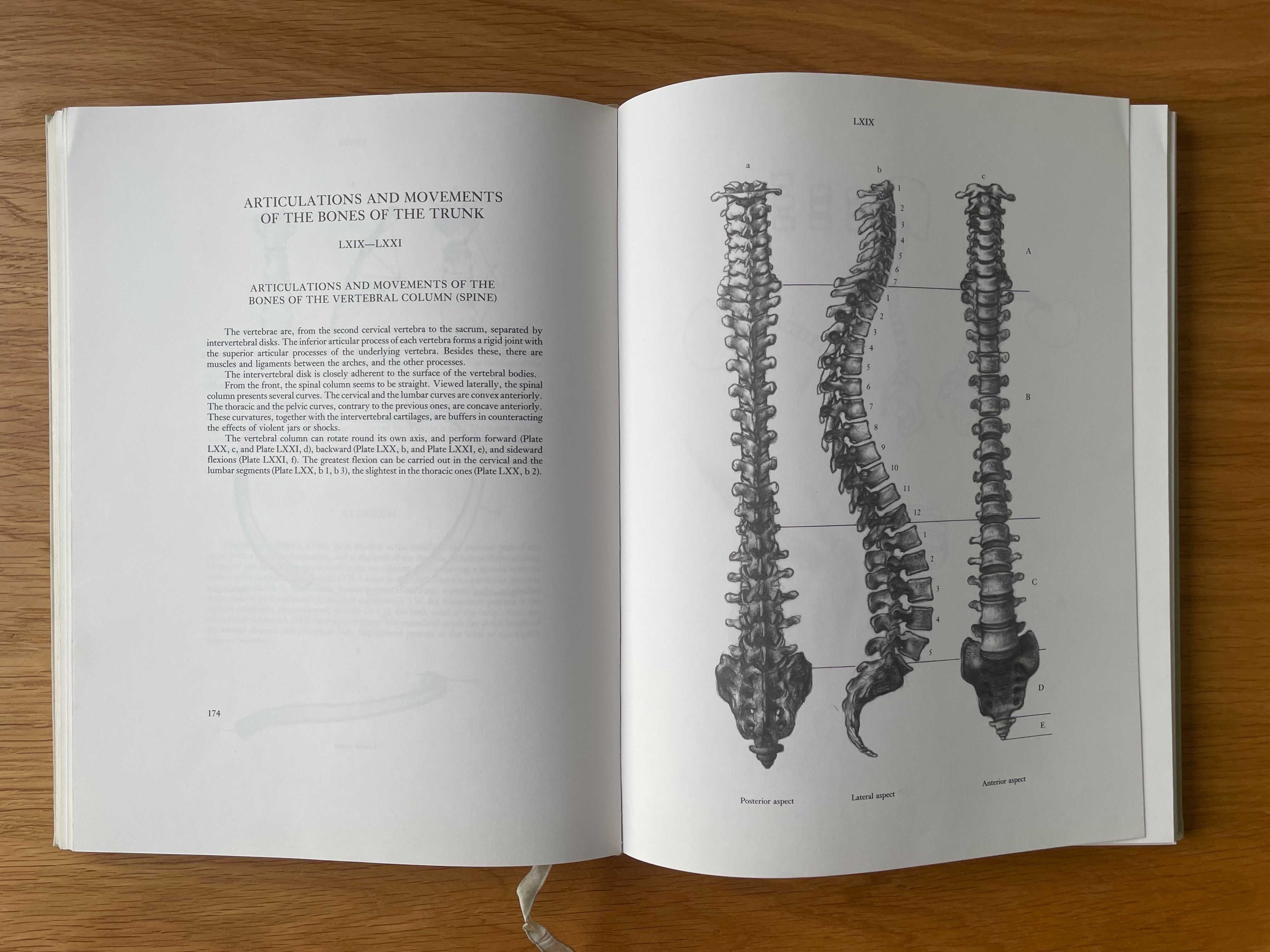 Album - Anatomy for the artist - Jeno Barcsay  - anatomia dla artysty