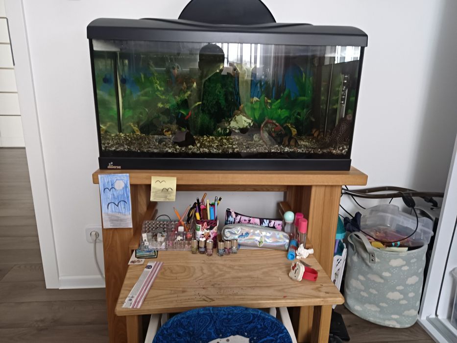 Akwarium  stolik