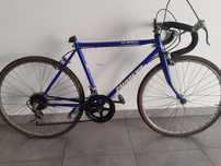 Bicicleta corrida