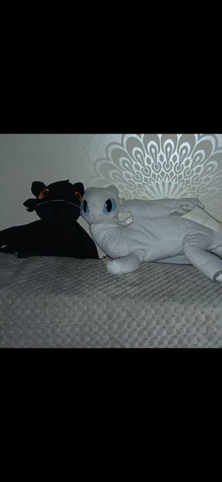 Jak wytresowac smoka pluszaki