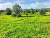 Terreno Elvas - Grande Potencial