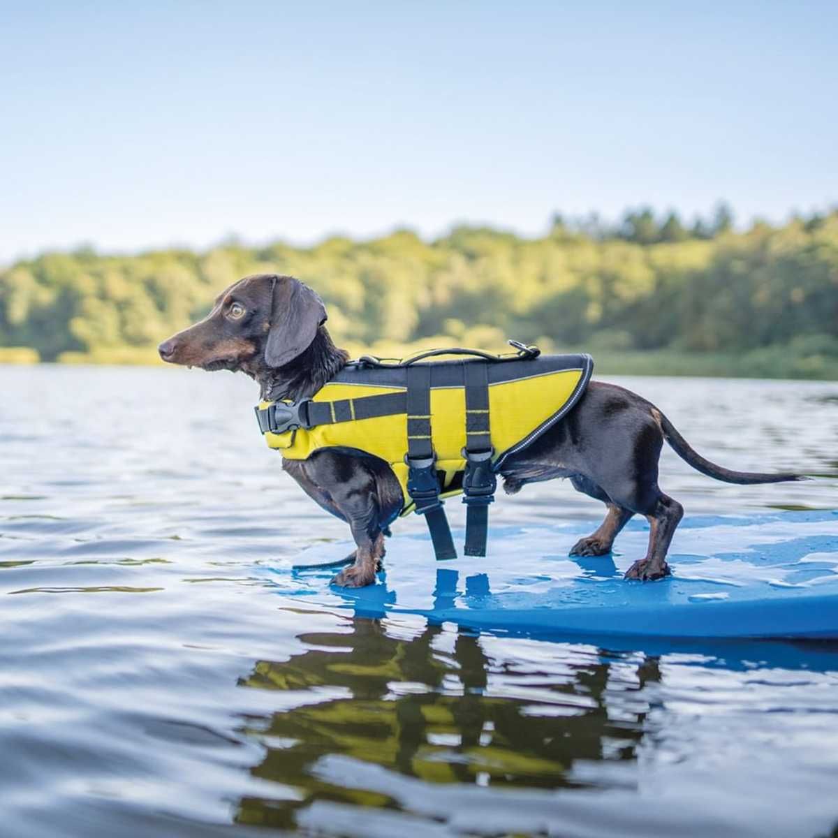 NOVO - TRIXIE Life Jacket, Colete Aquático cão, colete salva vidas