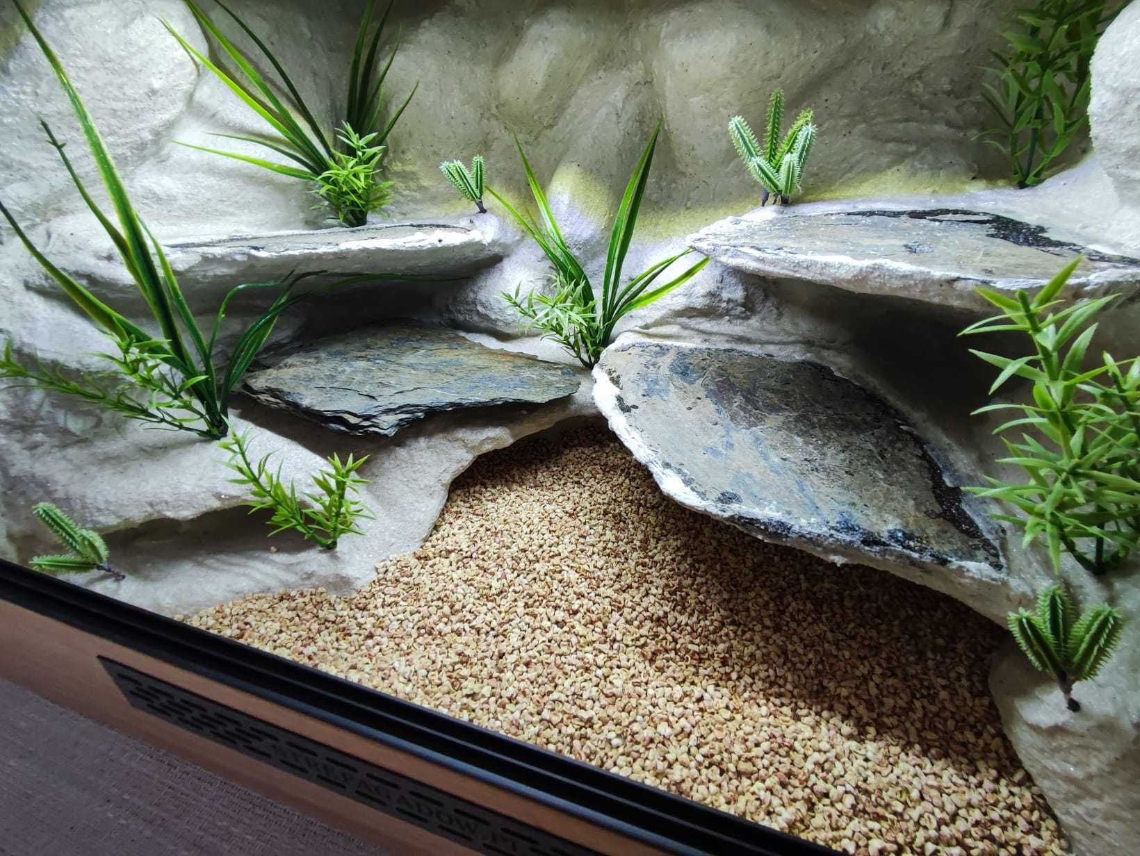 Terrarium pustynne nr638 60/40/40 dla gekona lamparciego NA ZAMÓWIENIE