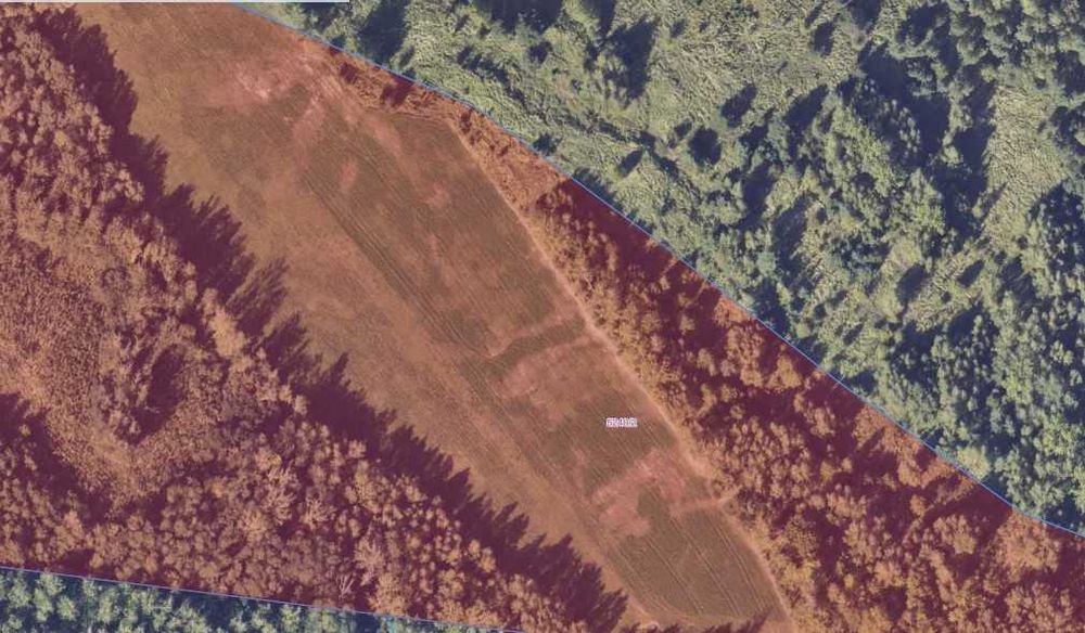 [51,18 ha] przetarg na dzierżawę gruntów rolnych