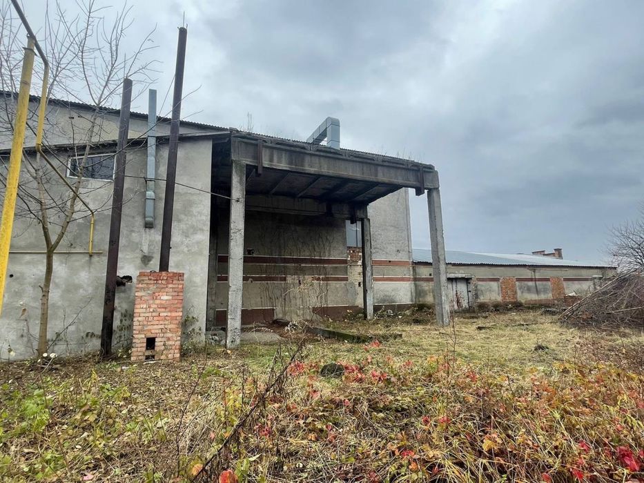 Продається майновий комплекс 3000 м.кв.  с. Мамаївці