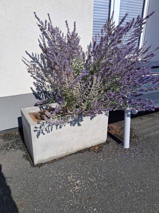 Donica betonowa - od ręki 2 sztuk