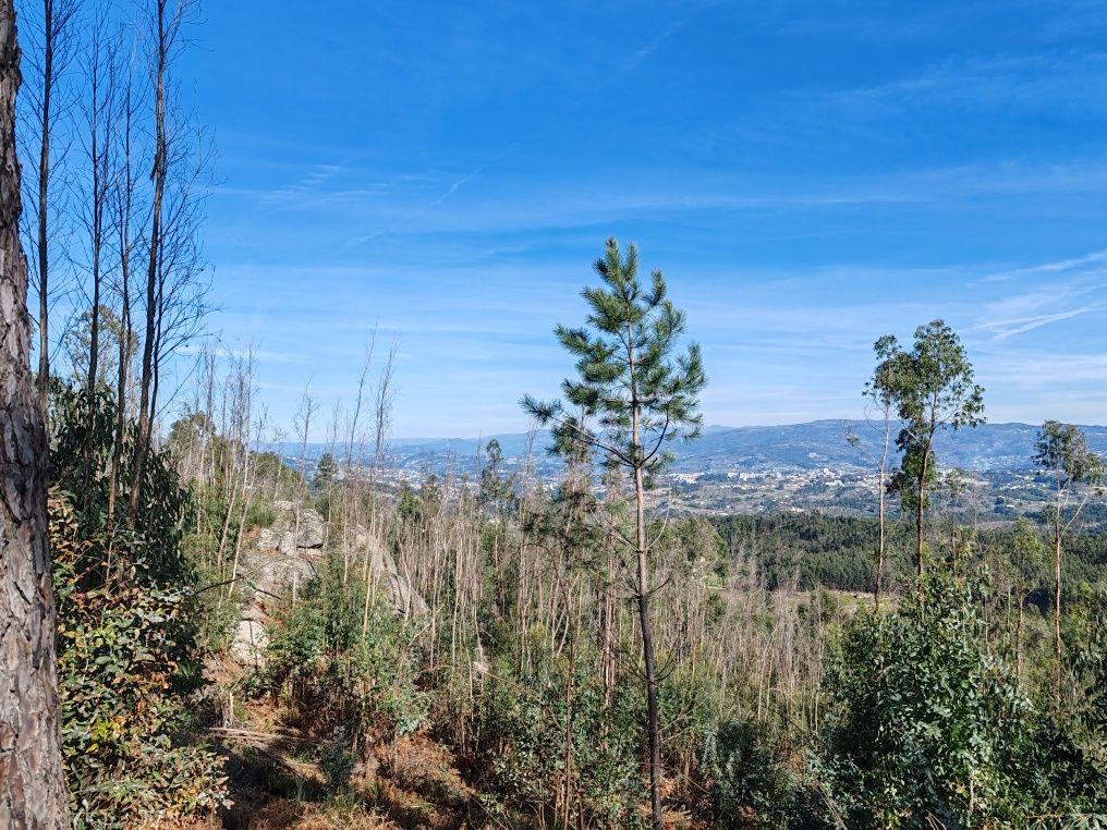 Terreno Florestal Mount Paradise
Stunning view