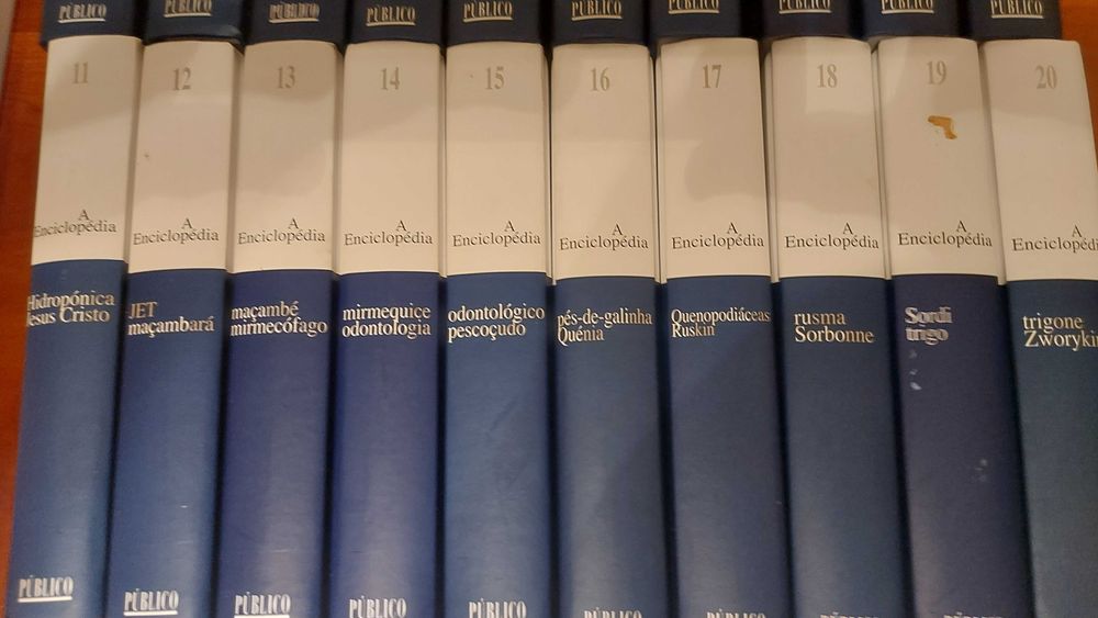 A Enciclopédia - Público - 30 volumes