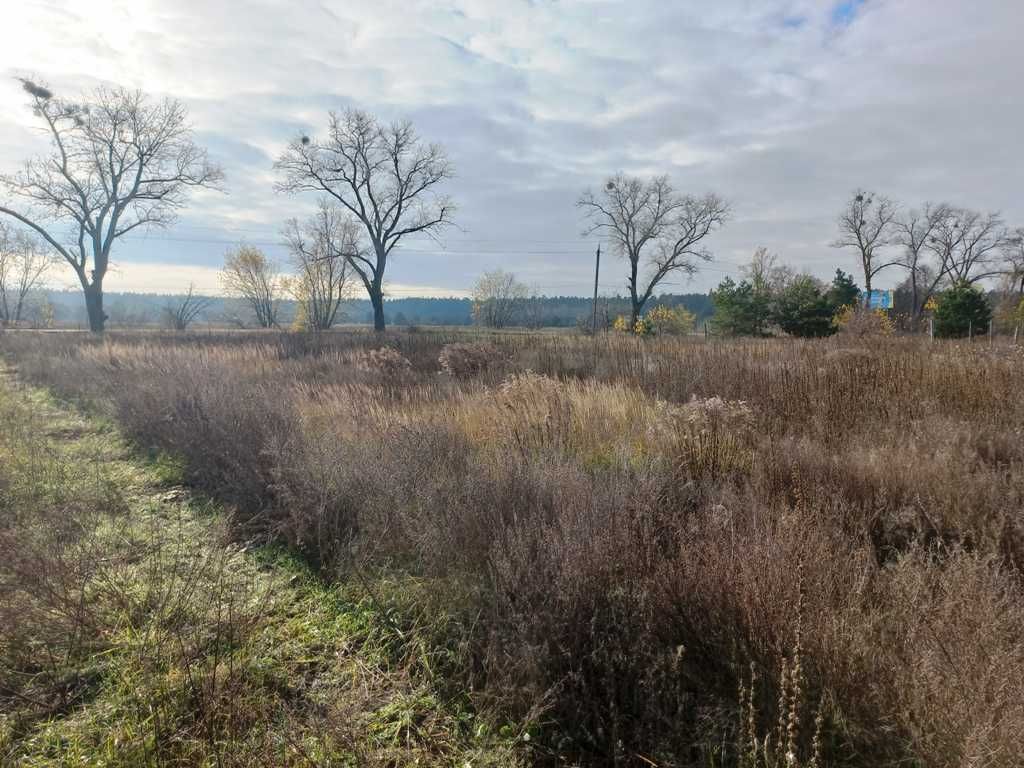 Ділянка 12 соток у Рожівці під забудову, на в’їзді в село