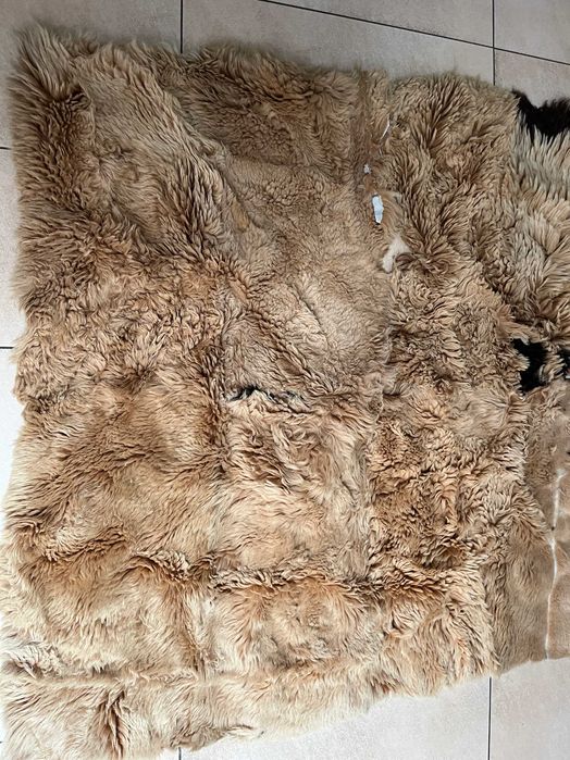 narzuta na łóżko, podłogę  skóra barania 250/120 cm