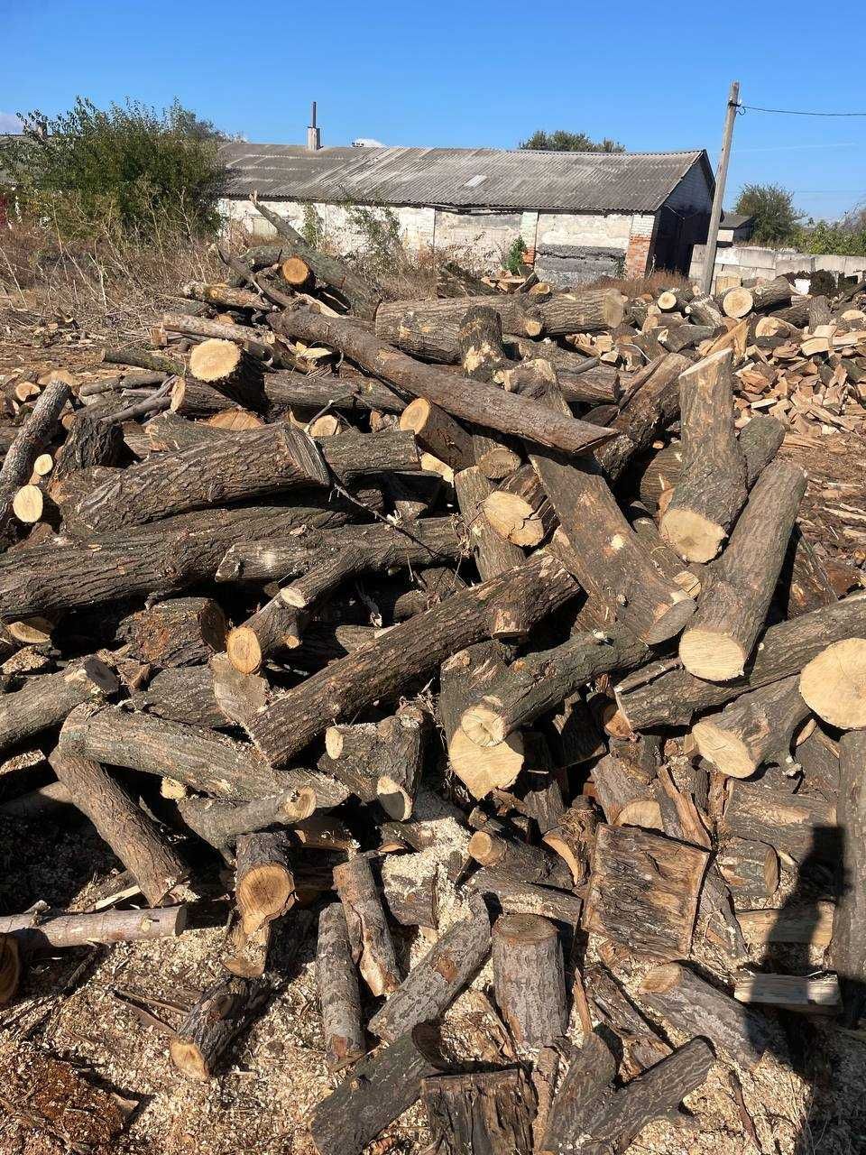 Дрова Дуб, Берест, Клен, Акация, Ясень. Круглый год 3 скм