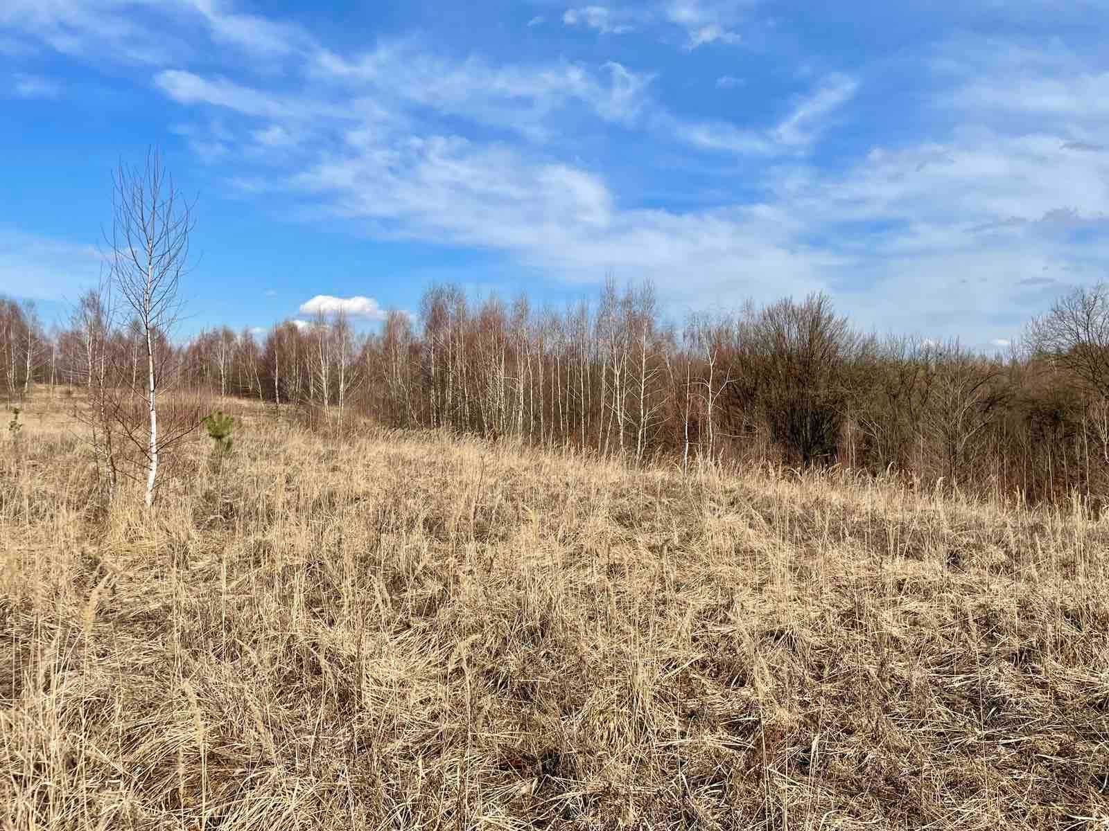 Продаж ділянки 1, 35 га, ОСГ призначення
