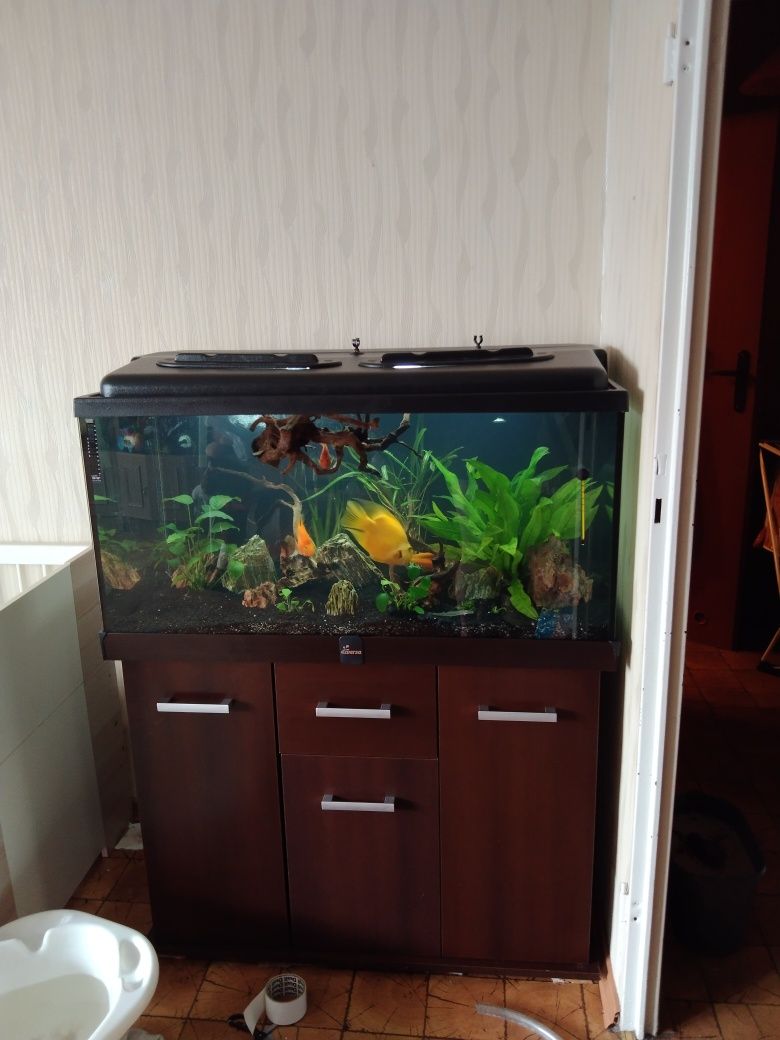 Akwarium Diversa 250L