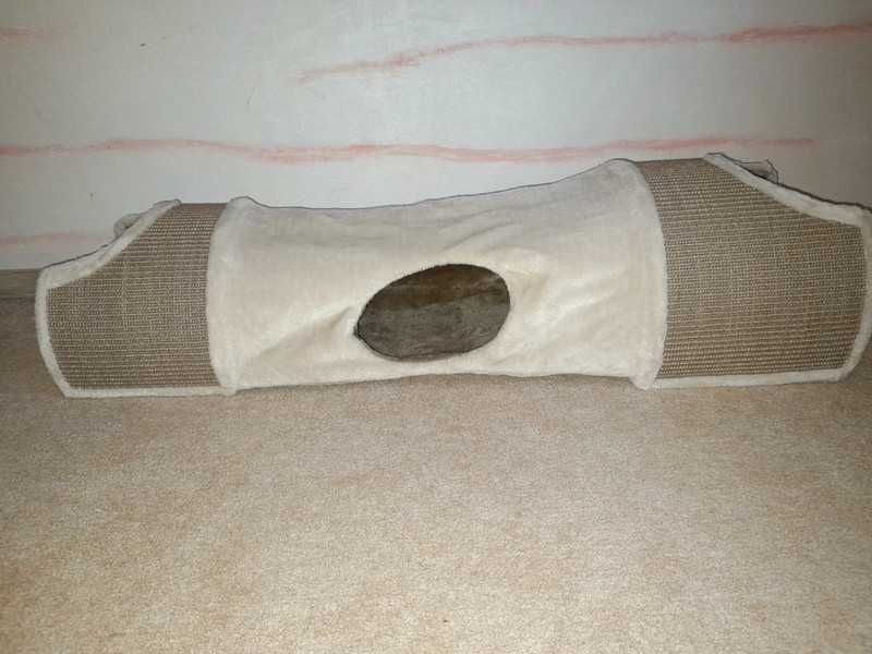 Drapak tunel dla kota Trixie