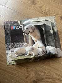 Puzzle 100 sztuk psy pies labrador Mb