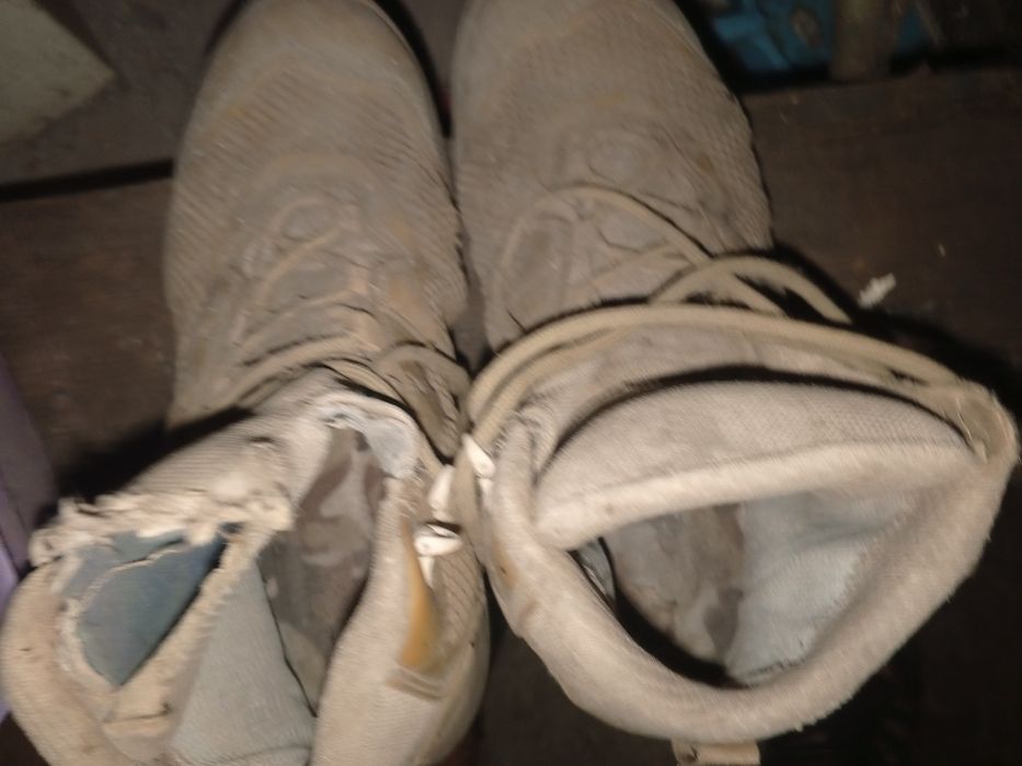 Продам талани берци