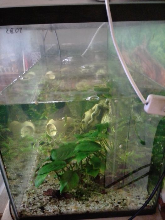 Продаётся аквариум 80 литров