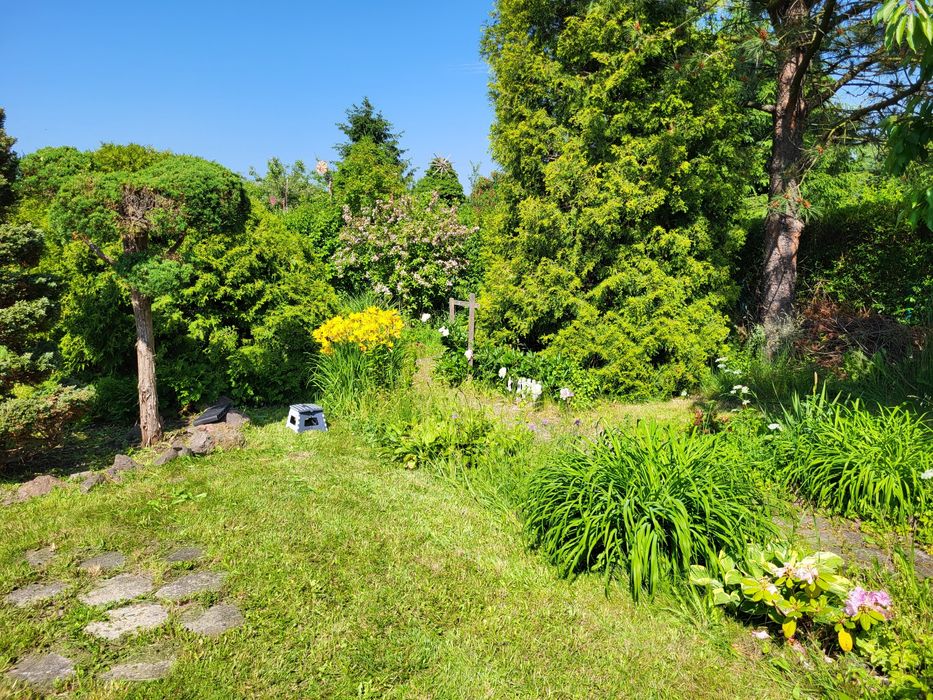 Działka rekreacyjna ROD "Podzamcze" Wałbrzych