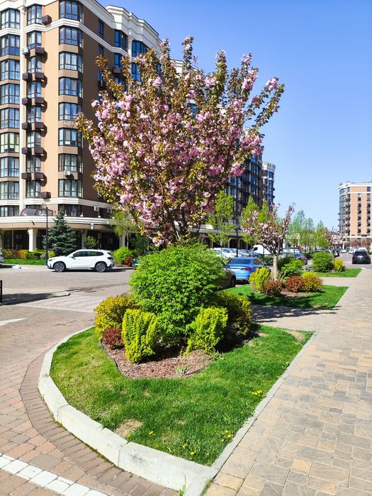 Однокімнатна квартира в Sofia Residence, заселений будинок, 1к без %.