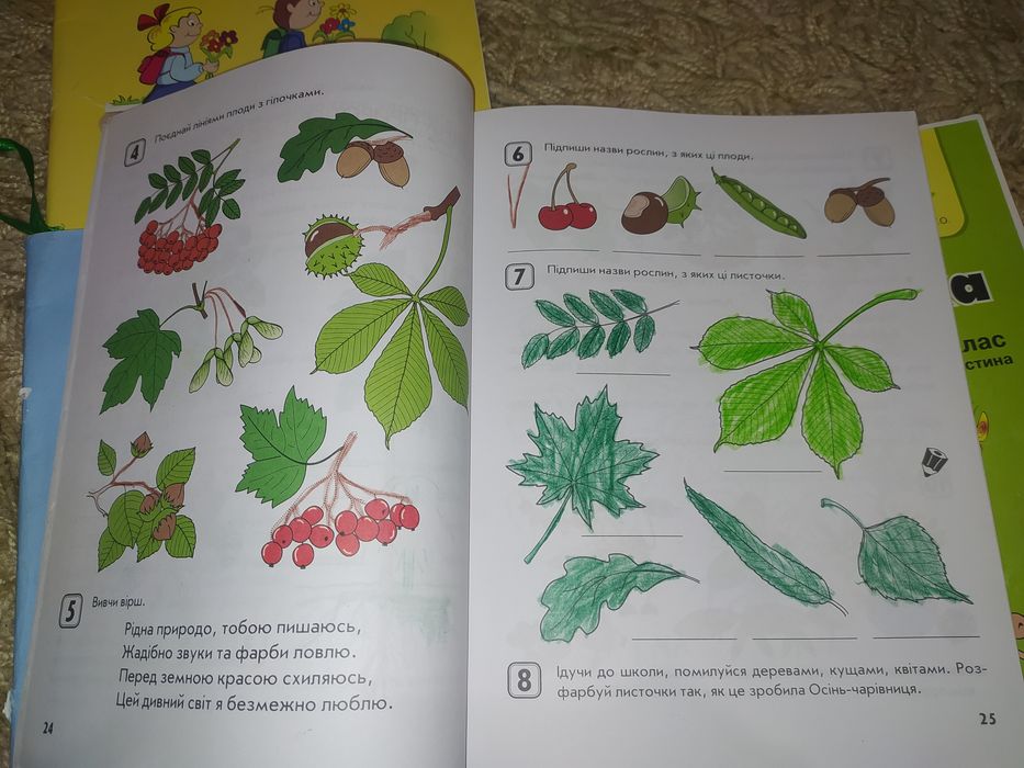 Робочий зошит "Навколишній світ"1 класс Росток, математика