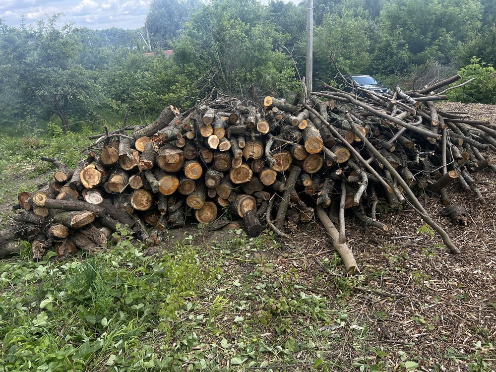 Продам фруктові дрова і щепу