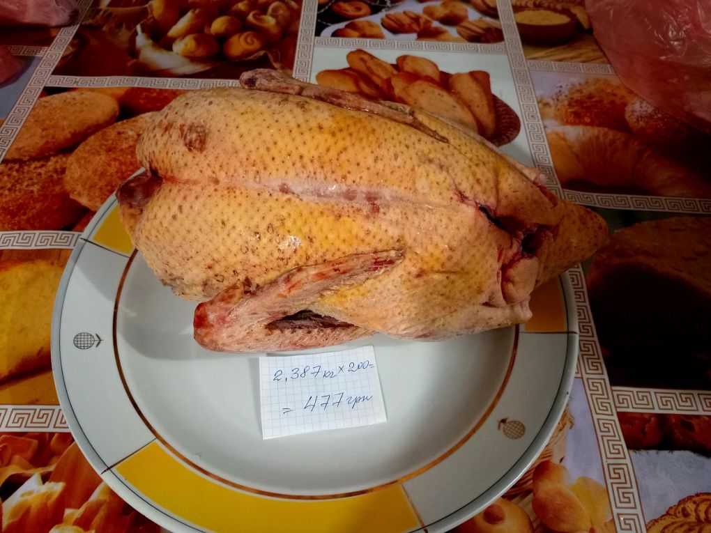 Мясо утки домашней