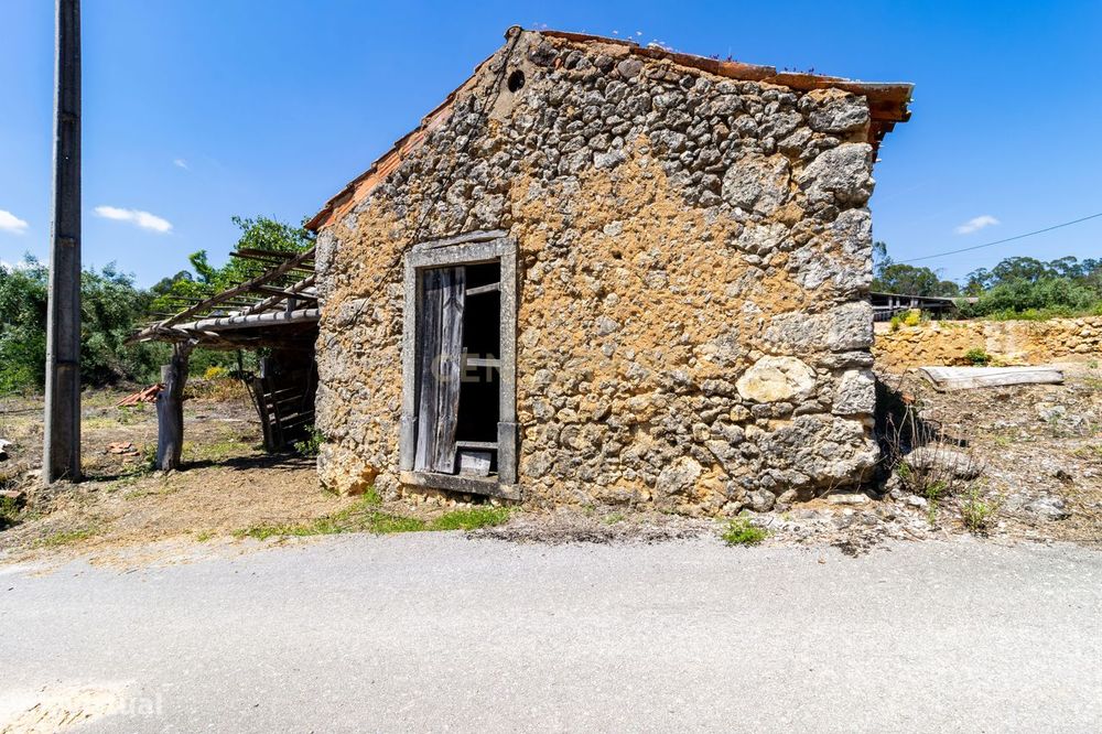 Terreno com ruina de arrumos Casais da Abadia ,Caxarias com Árvores Fr