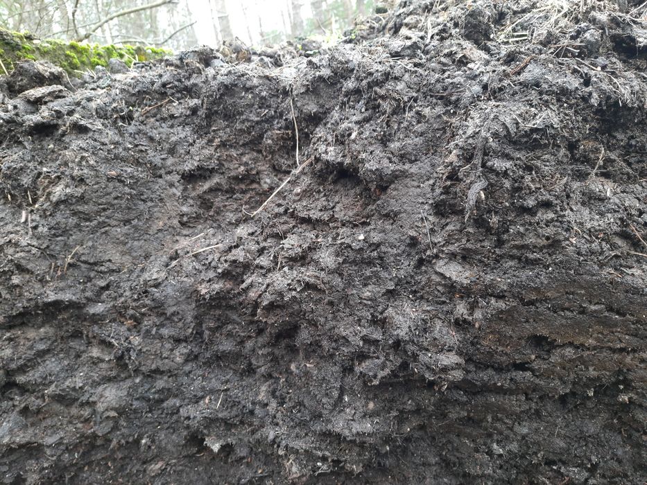 Obornik koński z torfem odkwaszony mieszanka