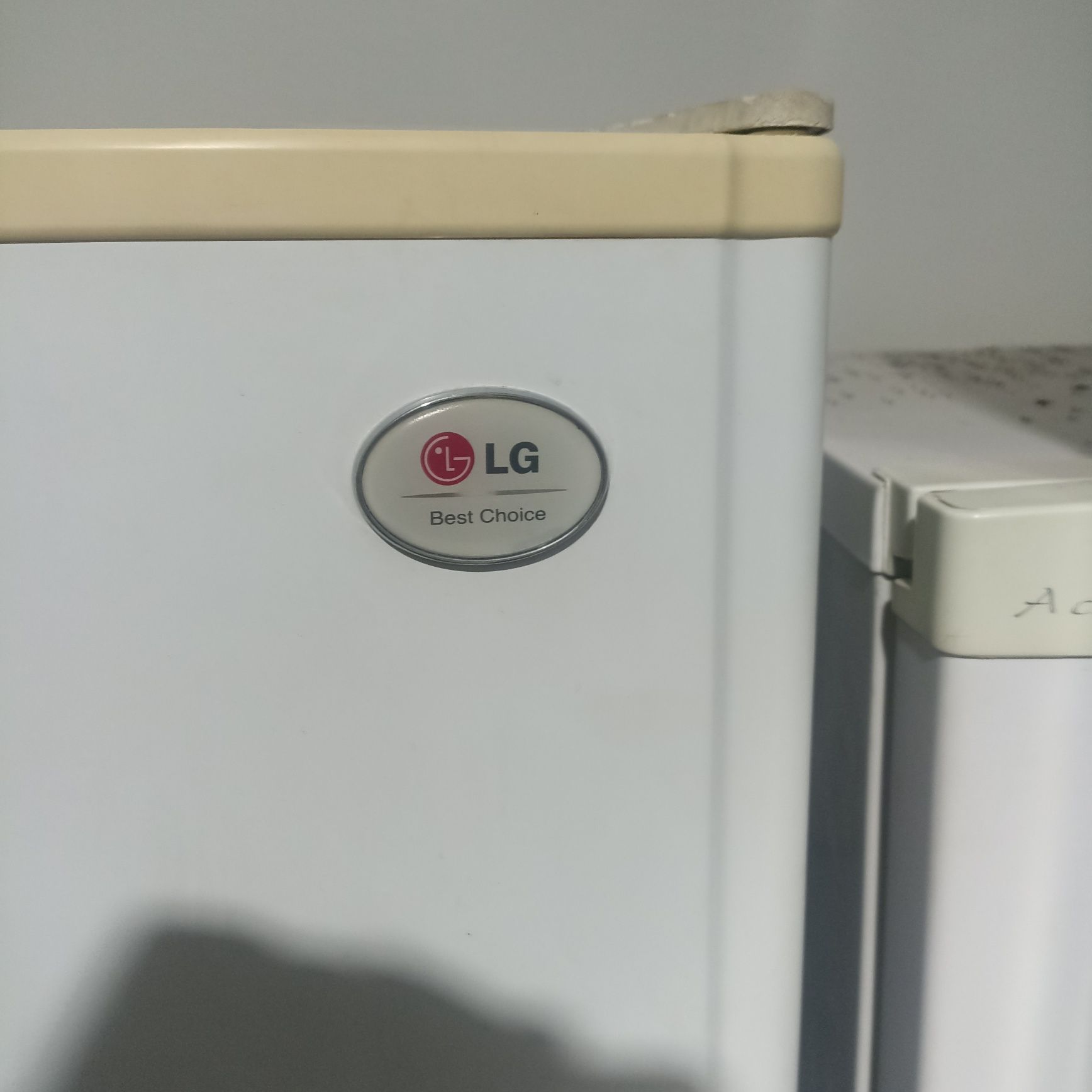 Frigorífico combinado LG