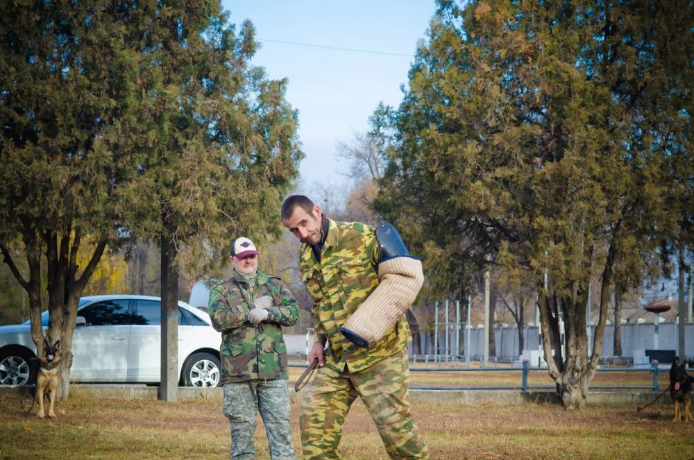 Дрессировка КРИВОЙ РОГ