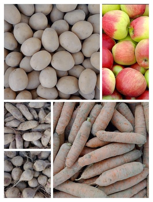 Warzywa i owoce z własnego gospodarstwa