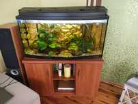 Zestaw Akwarium 200l