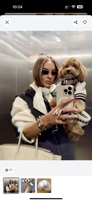 ‼️Красивенні Мальтипу/ Maltipoo F1/