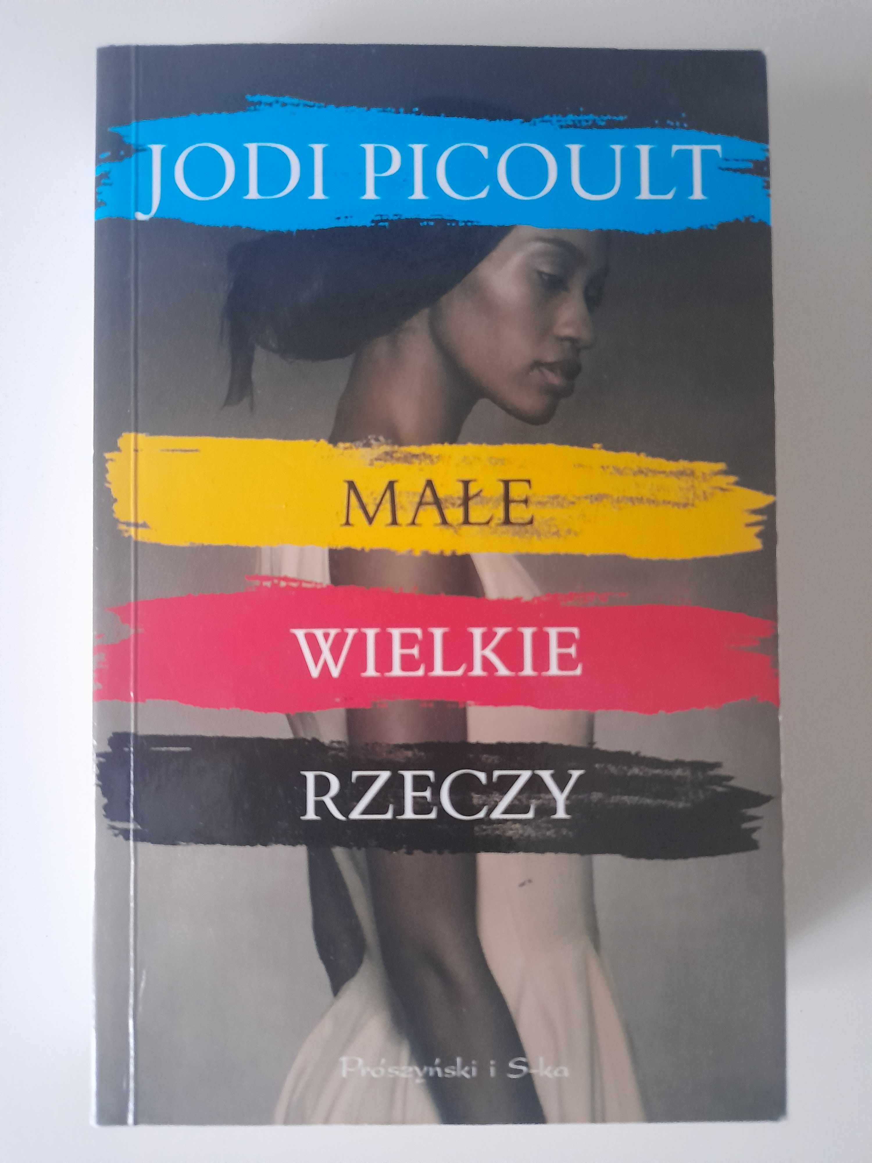 Małe wielkie rzeczy Jodi Picoult