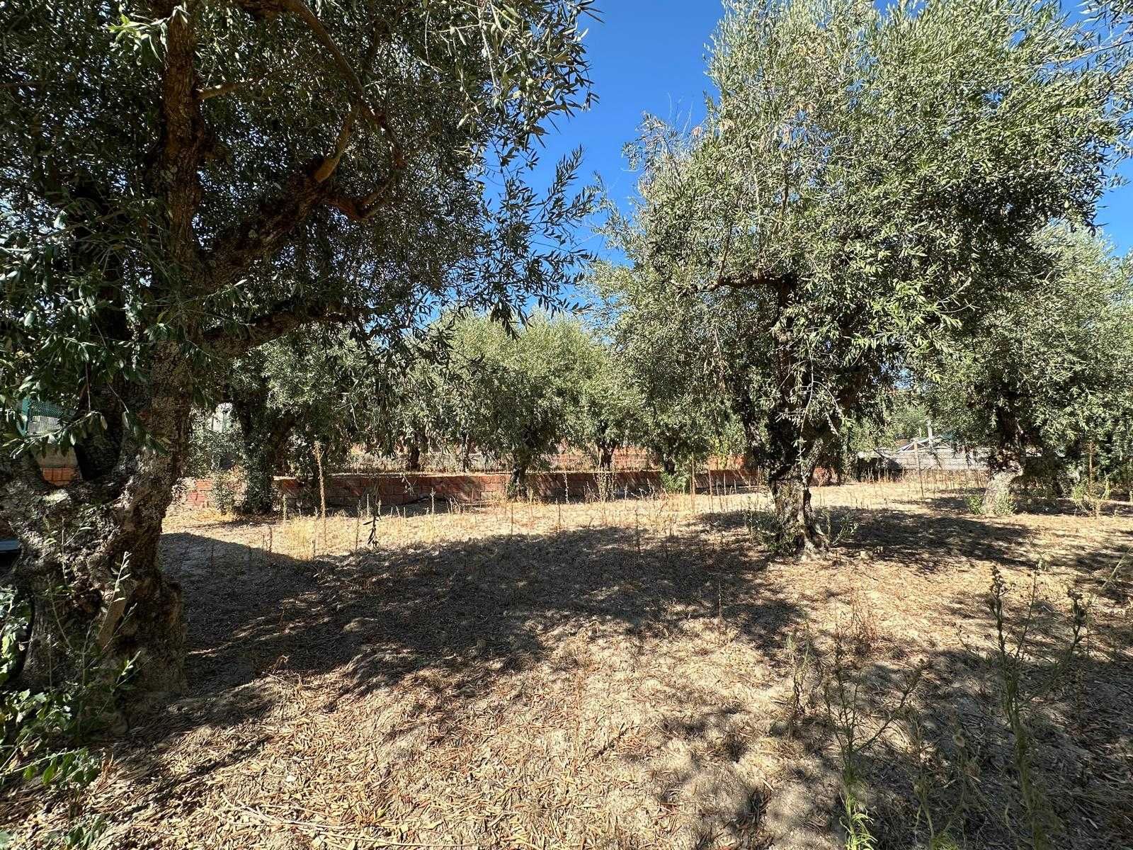 Terreno urbano de 1200m2