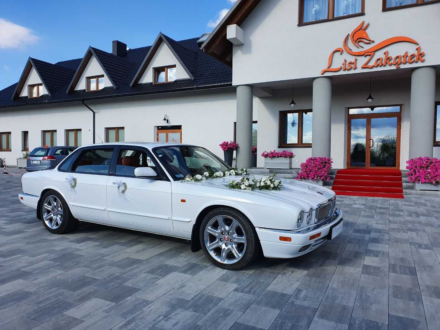 Jaguar XJR - śnieznobiały kot, niepowtarzalny styl i pazur