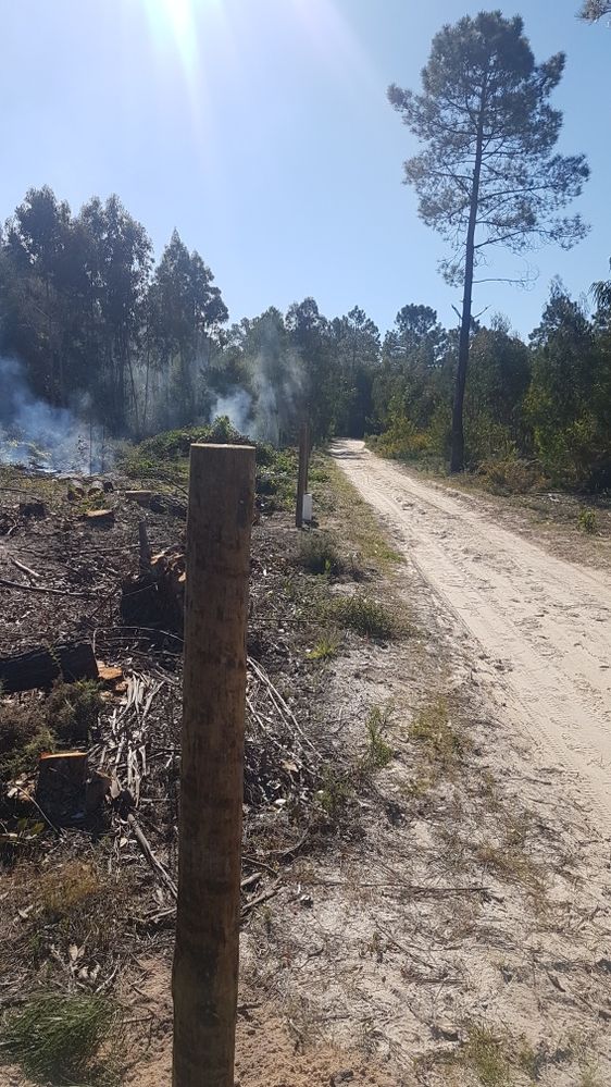 Limpezas de terrenos, vedações e outras prestações de serviço