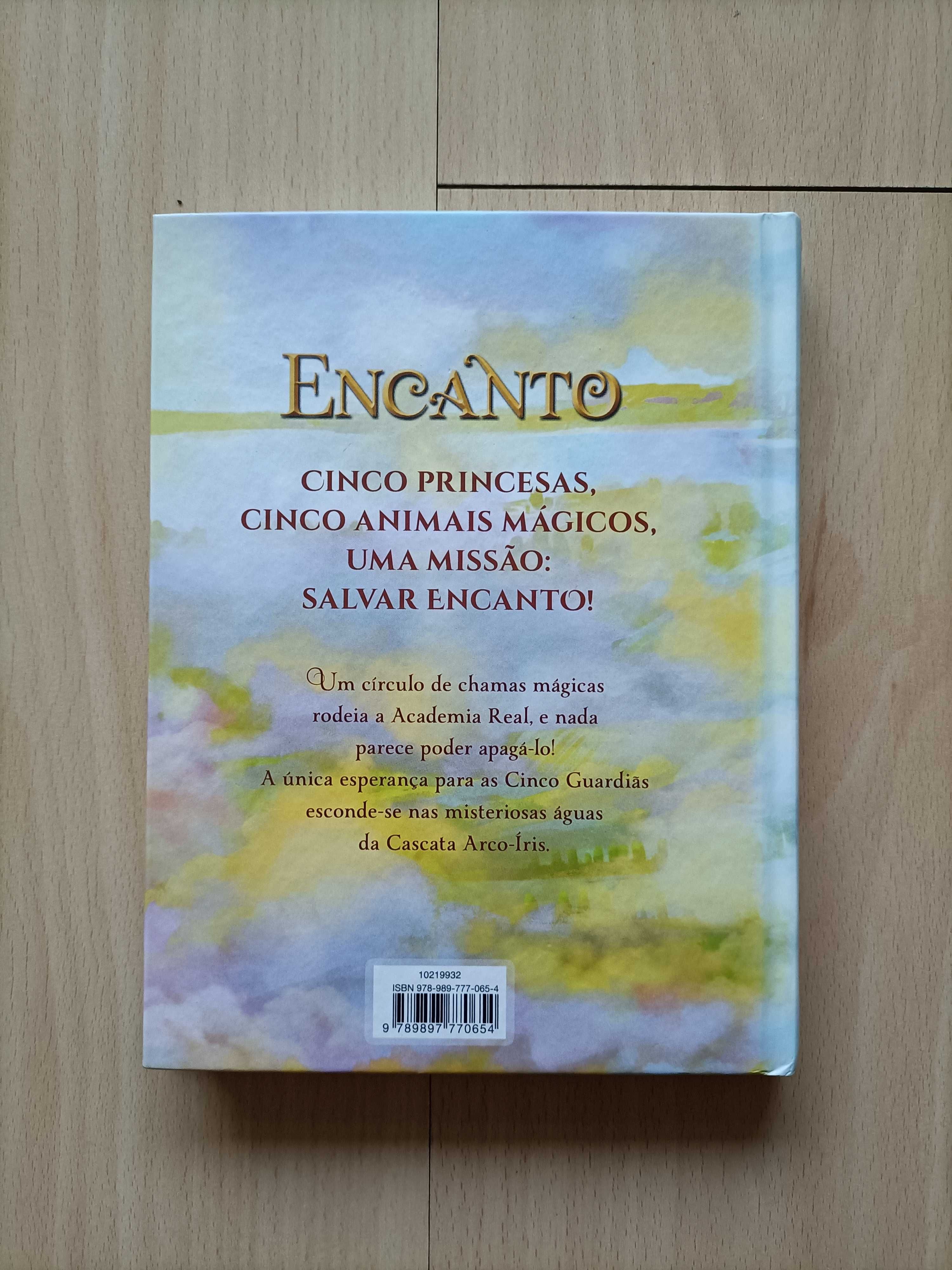 Livro-o enigma do fogo