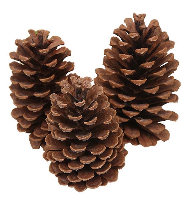 Pinhas para lareira, churrasco e salamandra