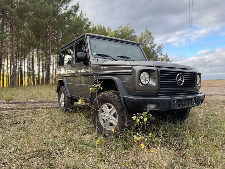 Mercedes-Benz Klasa G Mercedes G300 G klasa Gelenda 463 KLIMA