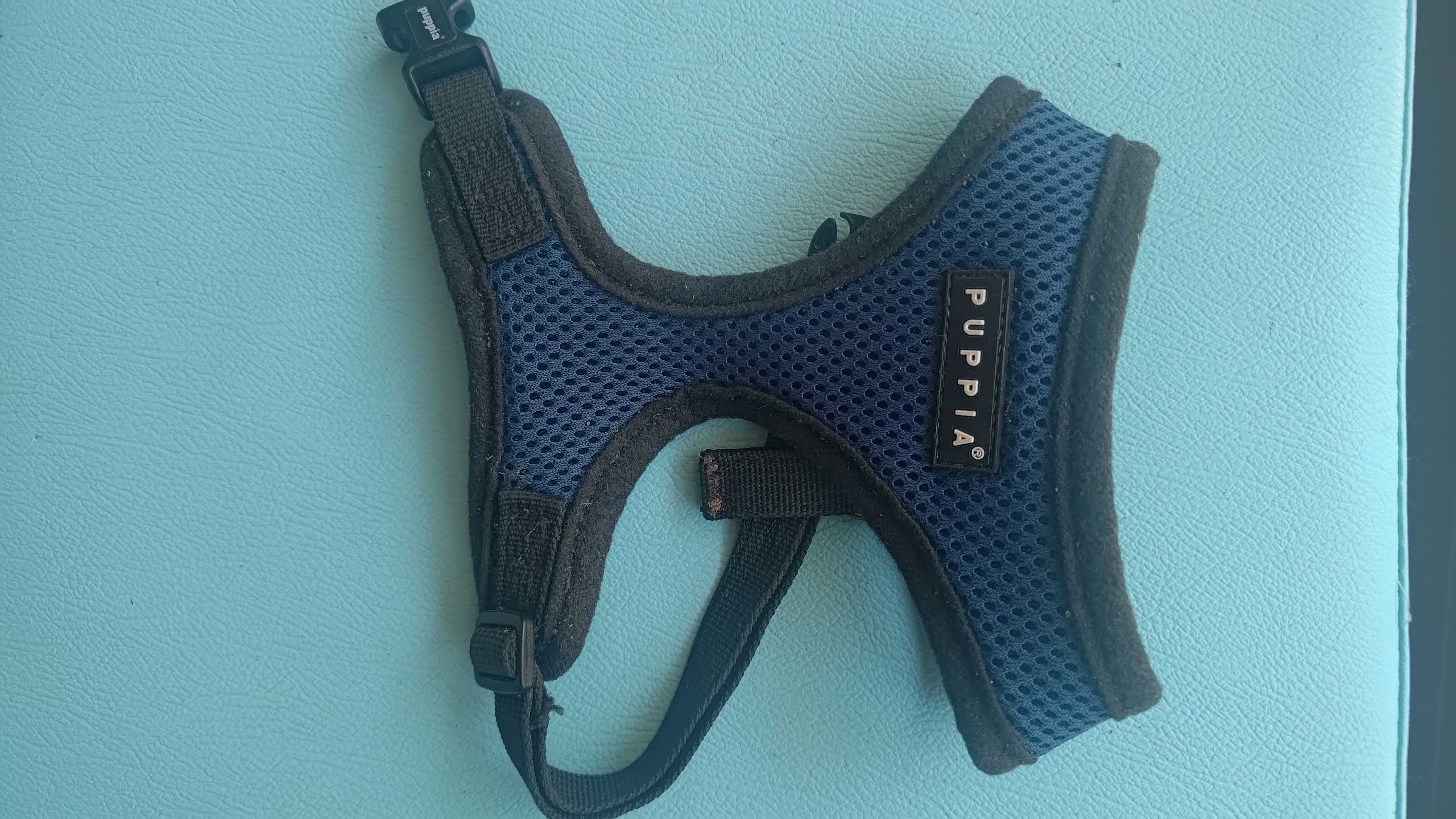 Szelki dla psa lub kota Puppia soft S + smycz taśmowa Flexi 3m
