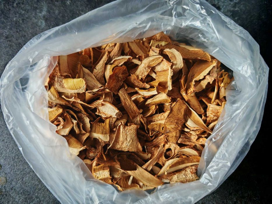 Grzyby suszone prawdziwki