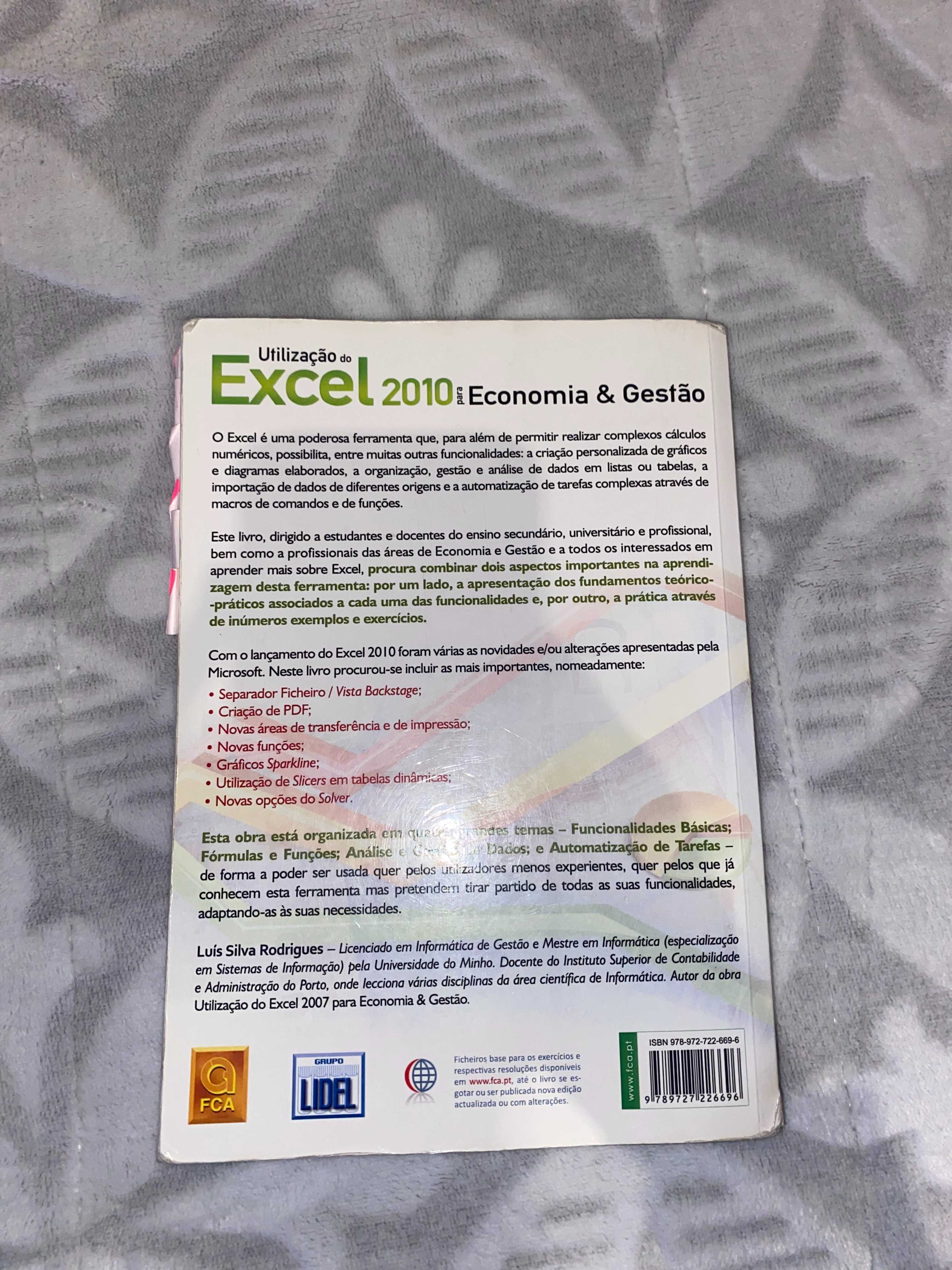 Excel 2010 para Economia e Gestão